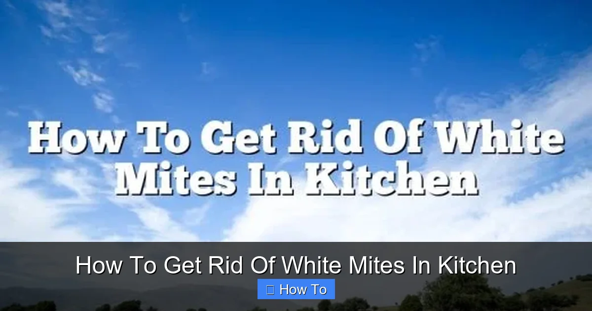How To Get Rid Of White Mites In Kitchen