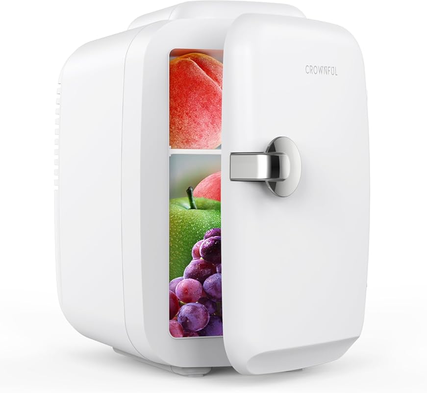 Portable 4L/6-Can Cooler and Warmer Mini Fridge for Skincare, Drinks, 