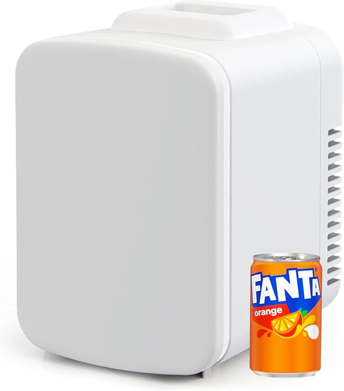 Portable 4L/6-Can Cooler and Warmer Mini Fridge for Skincare, Drinks, 